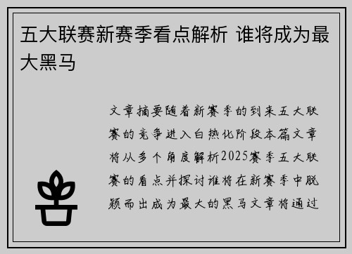 五大联赛新赛季看点解析 谁将成为最大黑马